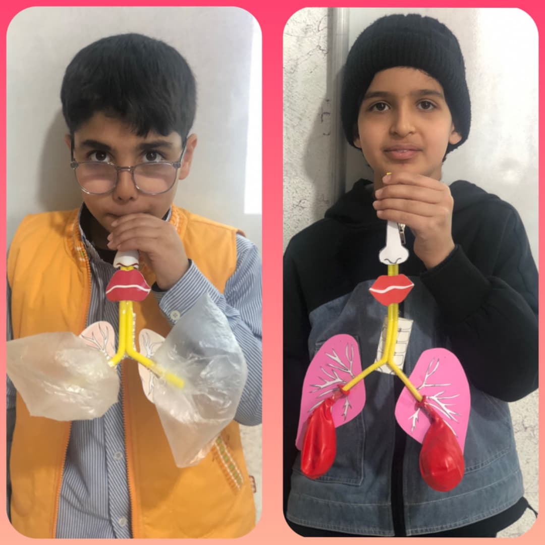 تصویر مقاله