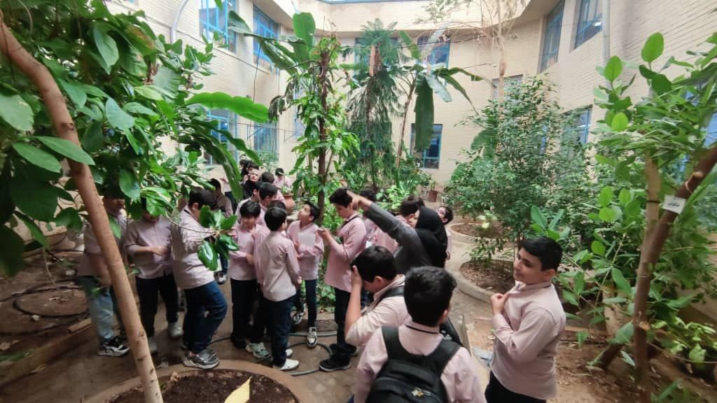 پیش دبستانی و دبستان غیردولتی پسرانه سیمای فرهنگ